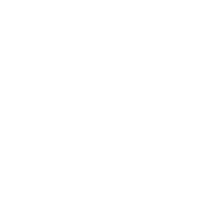 2_Einsatzgebiet_icon_weiss_2