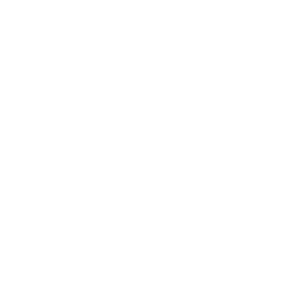 2_Mission_icon_weiss